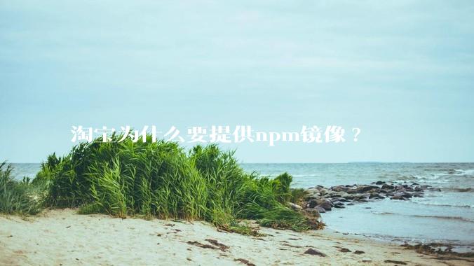 淘宝为什么要提供npm镜像?