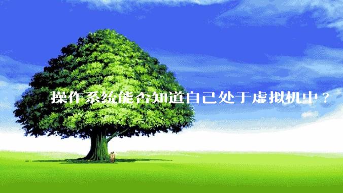 操作系统能否知道自己处于虚拟机中?