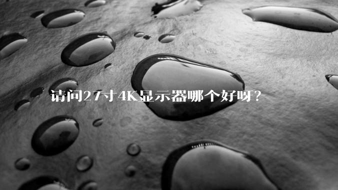 请问27寸4K显示器哪个好呀？