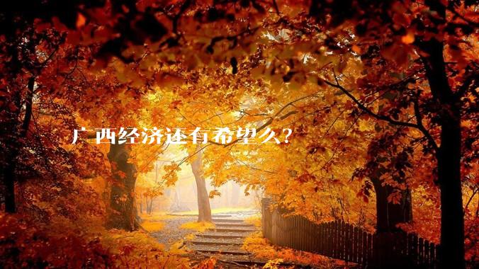 广西经济还有希望么？