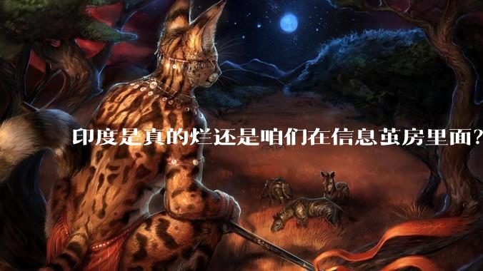 印度是真的烂还是咱们在信息茧房里面？