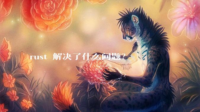 rust 解决了什么问题？