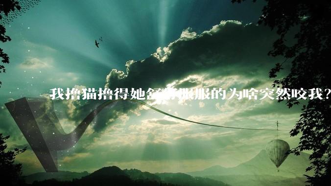 我撸猫撸得她舒舒服服的为啥突然咬我？